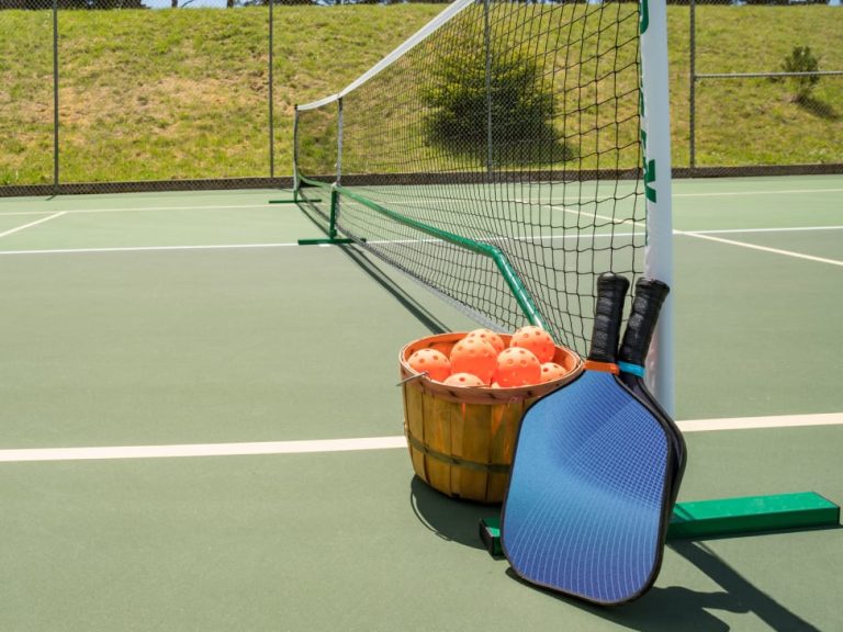 Do You Need a Net for Pickleball