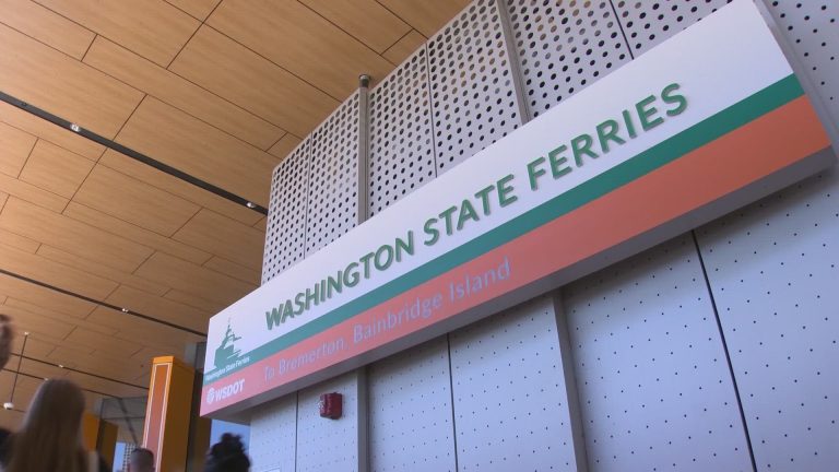 Does Line Count in Pickleball