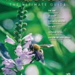 How Do You Mark the Server on a Pickleball Score Sheet on a Change of Side