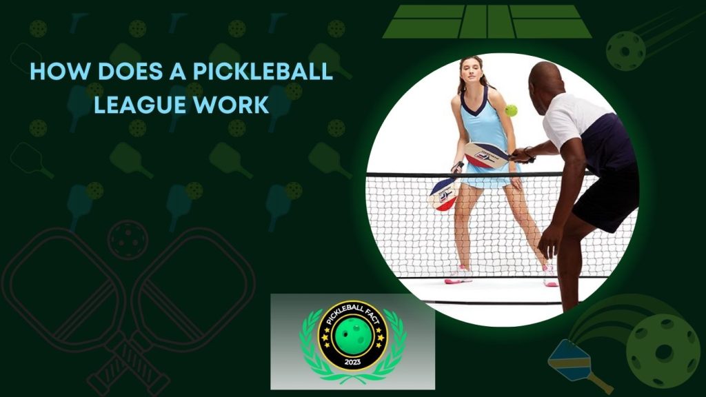 How Does a Pickleball League Work A StepbyStep Guide