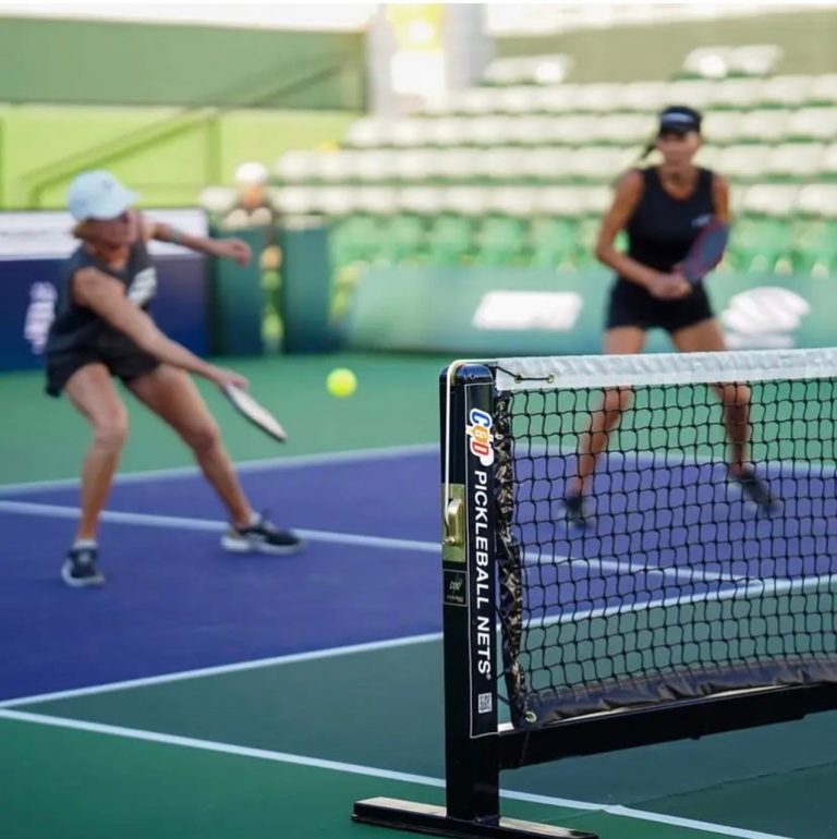 How Much are Pickleball Nets