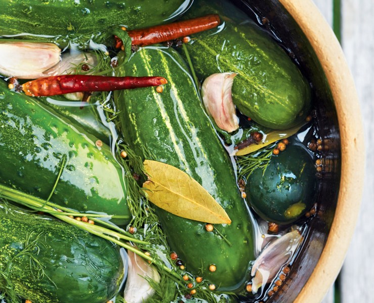 What is Gherkin in Pickleball