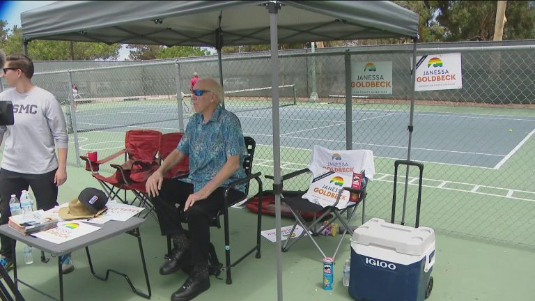 What is Pickleball Democrats