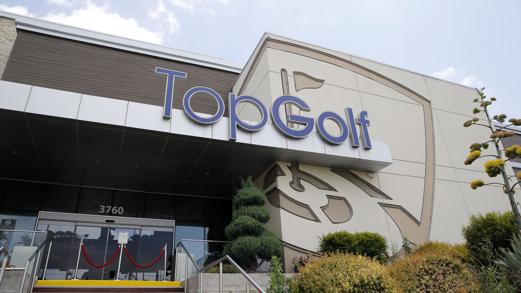 What Pickleball Companies are Publicly Traded Discover the Top Stocks!