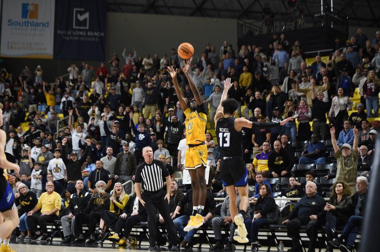 What Questions Can Pickleball Players Ask Referees