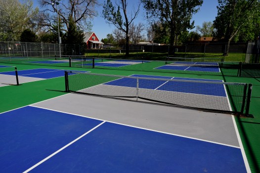 Will Pickleball Save America